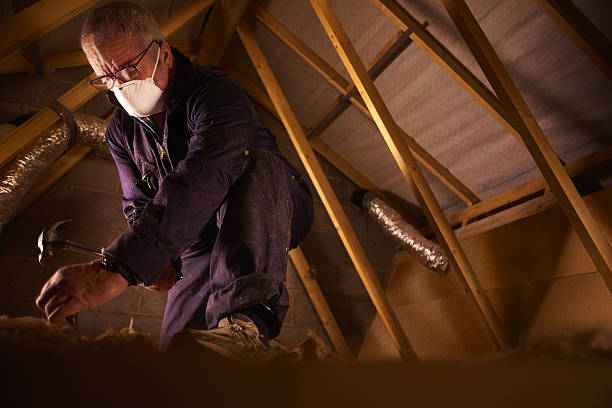 Best Insulation Maintenance and Repair in Kalifornsky, AK